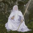 Gandalf the White 328"x36" Oil